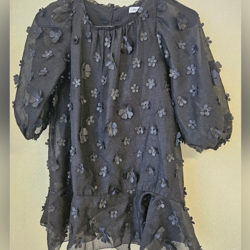 Zara Kids Long Sleeve Floral Appliqué Dress